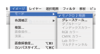 モノクロ2階調に変換するイメージ