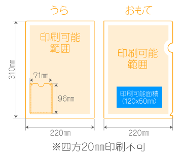 D裏面左下