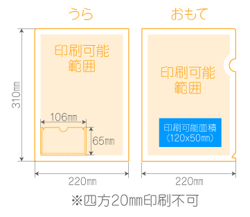 D裏面左下