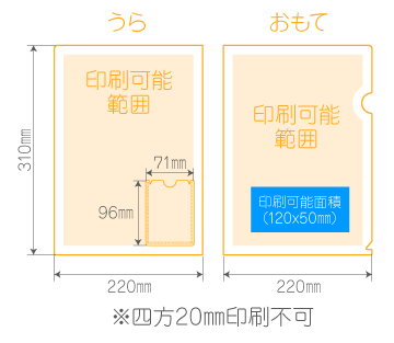 C裏面右下